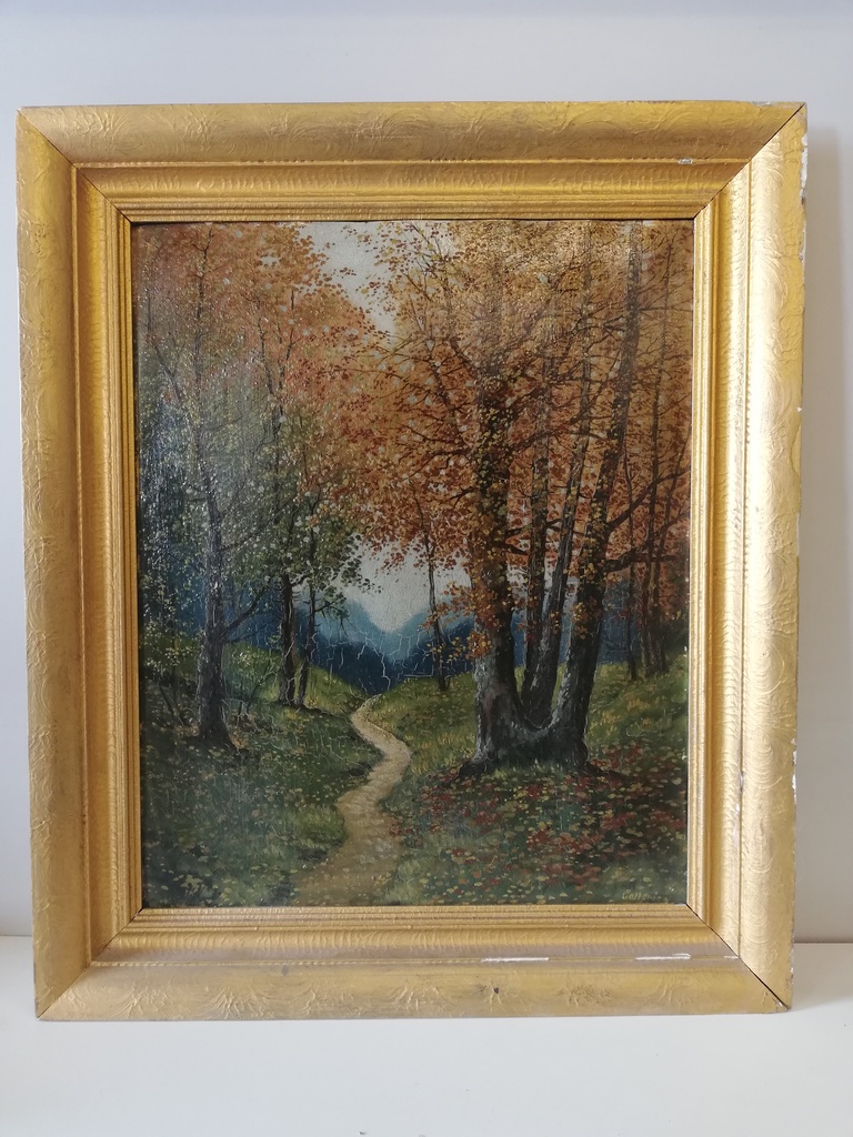 Schmaler Waldweg im Herbst